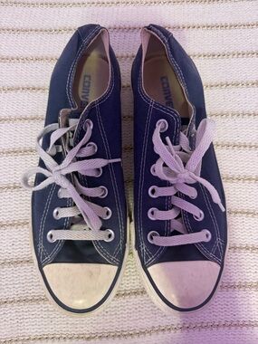 Converse Navy and White Canvas Low-Top Sneakers